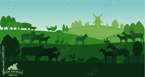 Vector rural landscape with farm animals