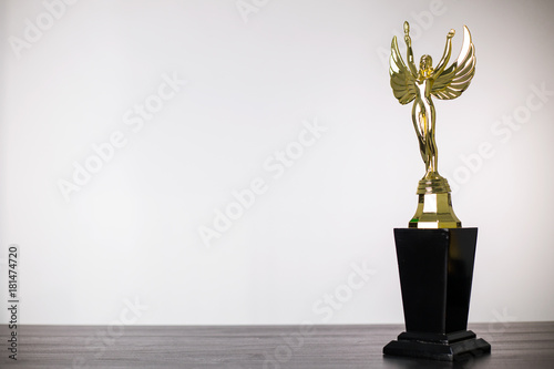 Trophy award show your success