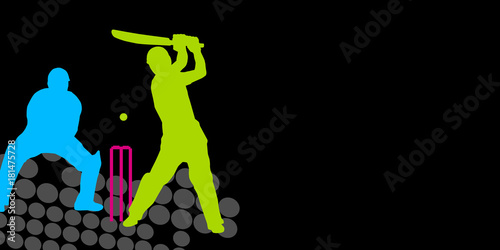 Cricket - 55
