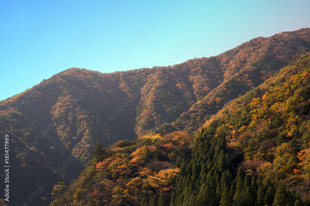 紅葉風景　奈良