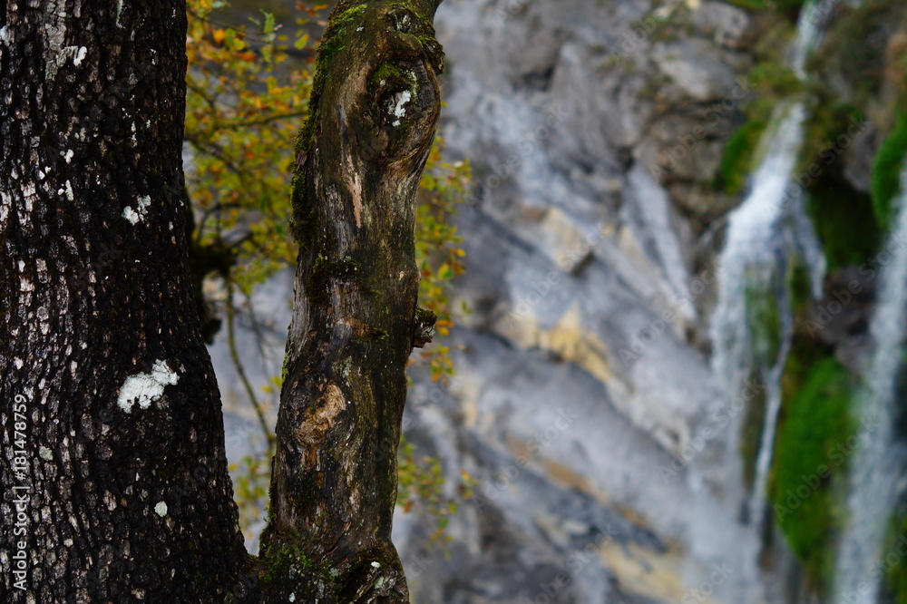 Obraz premium Cascada