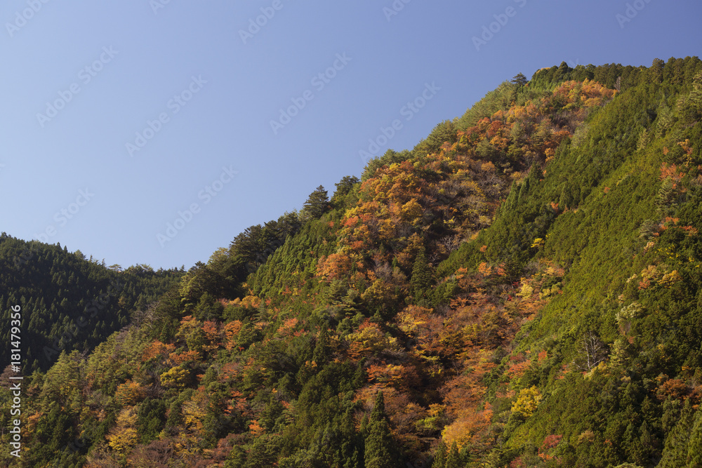 紅葉風景 奈良 紅葉風景 奈良