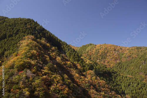 紅葉風景 奈良