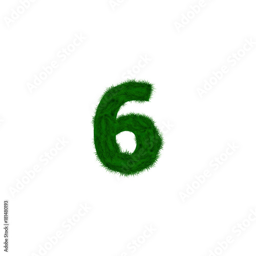  numbers decorated with pine branches. Number- 6. Six.