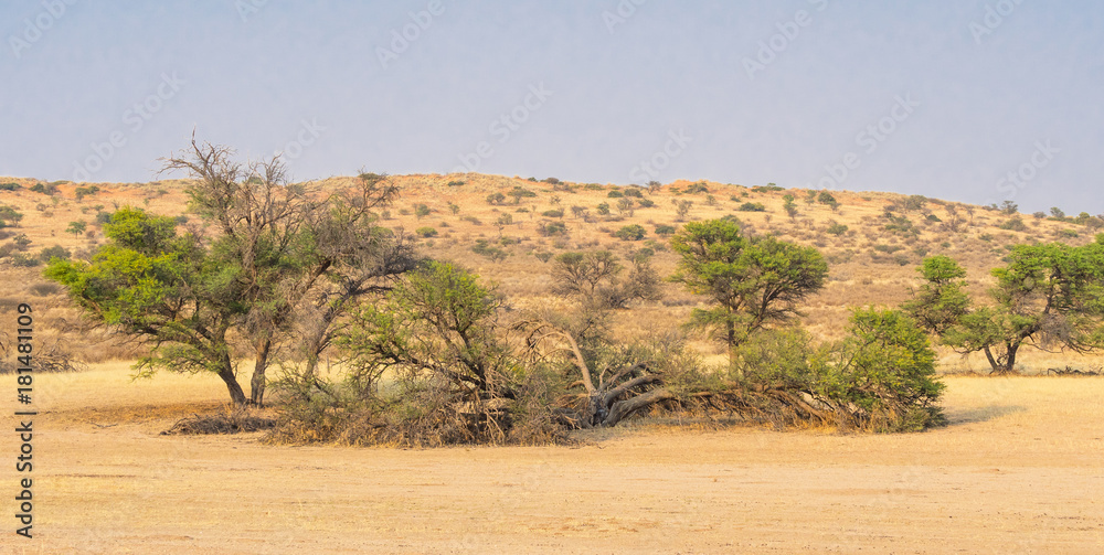 Dry Auob River Valley