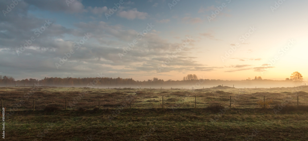 Field in the sunrise