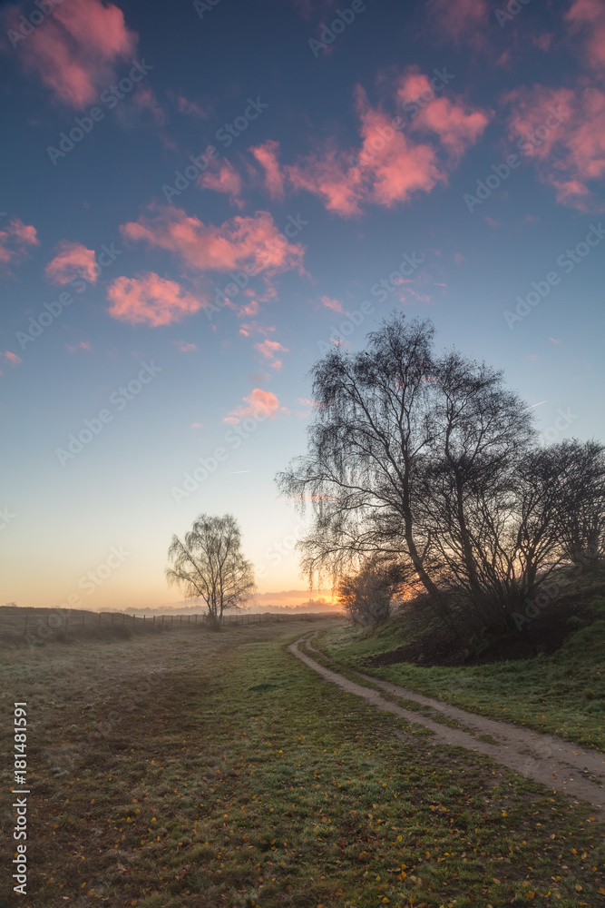 Field in the sunrise