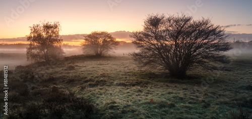 Εκτύπωση καμβά Field in the sunrise