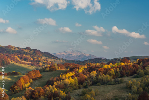Vibrant colors of autumn in wilderness of Carpathia Mountains,Bieszczady,Poland