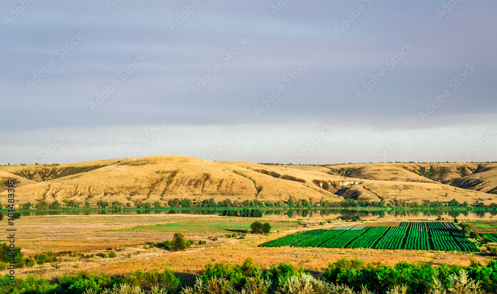 Fototapeta premium landscape field mountain expanse