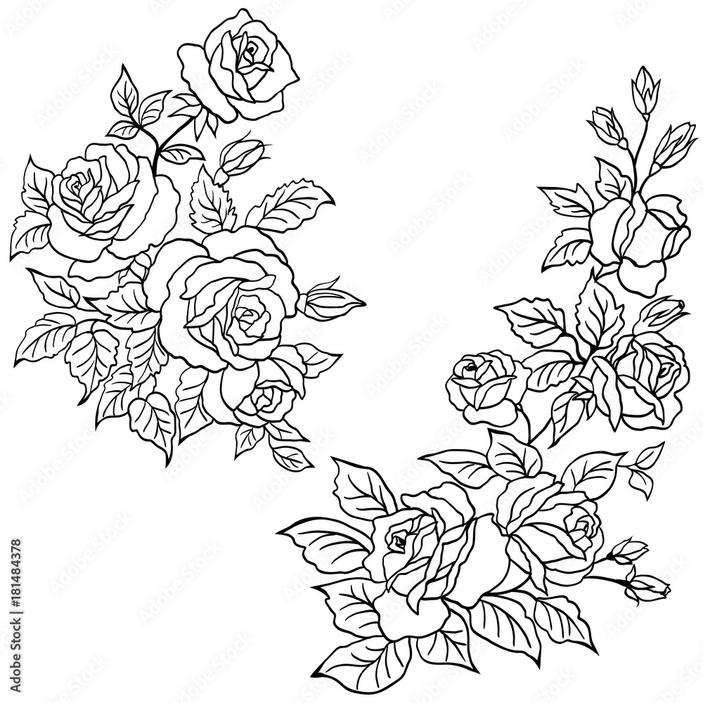 Naklejka premium Hand drawn roses flowers vector set
