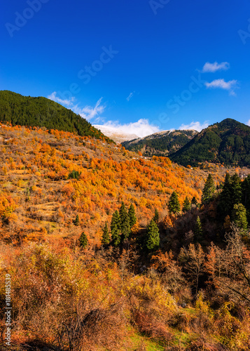 Autumn In Agrafa Mountains