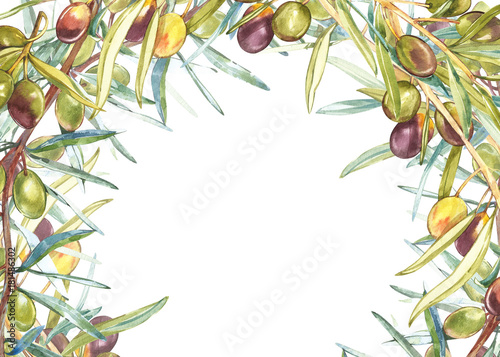 Wallpaper Mural Horizontal banners with ripe black and green olives on white background. Design for olive oil, olive packaging, natural cosmetics, health care products. With place for text. Torontodigital.ca