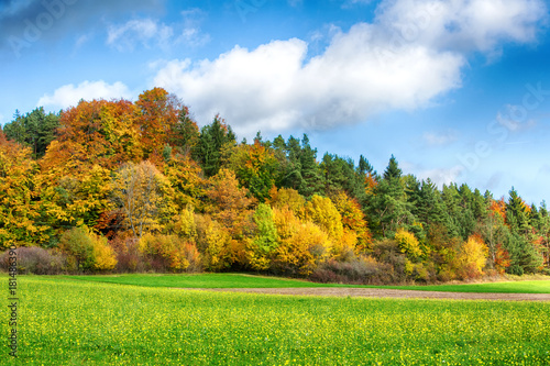 beautiful colorful forest and field in the fall