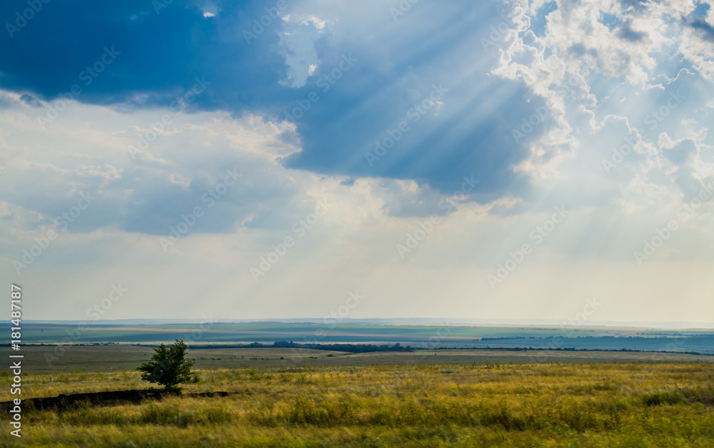 Fototapeta premium landscape field mountain expanse