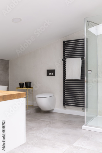 Simple elegant bathroom in attic