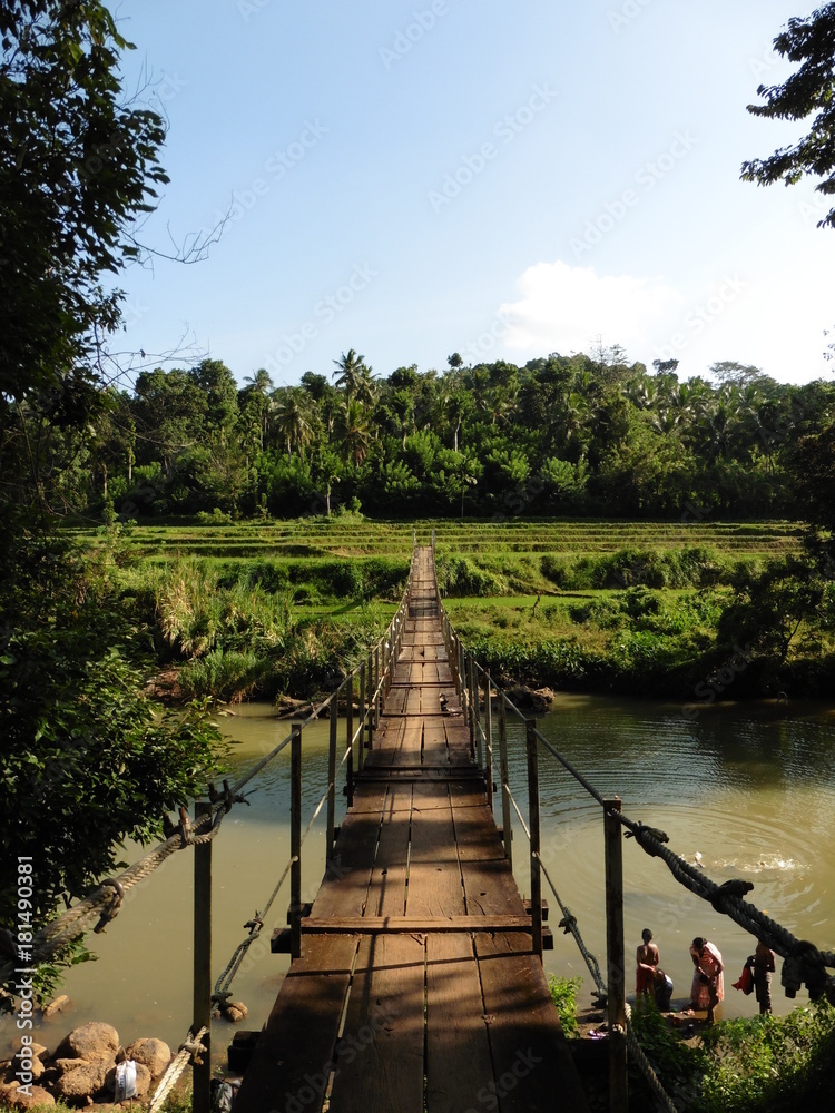 Fototapeta premium Pont Asie