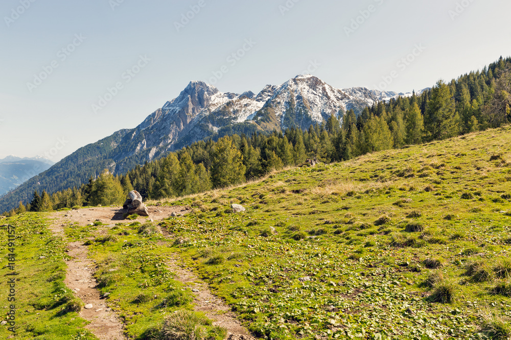 Obraz premium Alpine landscape with pasture water trough in Western Carinthia, Austria.