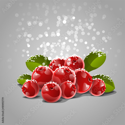 cranberries with snow
