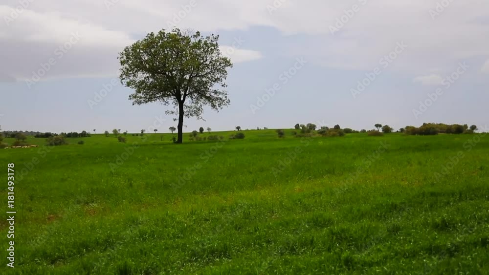 Practices from agricultural land Practices from agricultural land