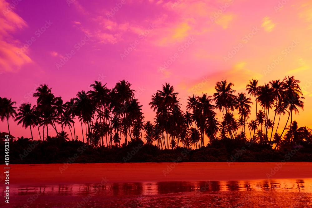 Naklejka premium Palm trees on the beach at vivid tropical beach sunset