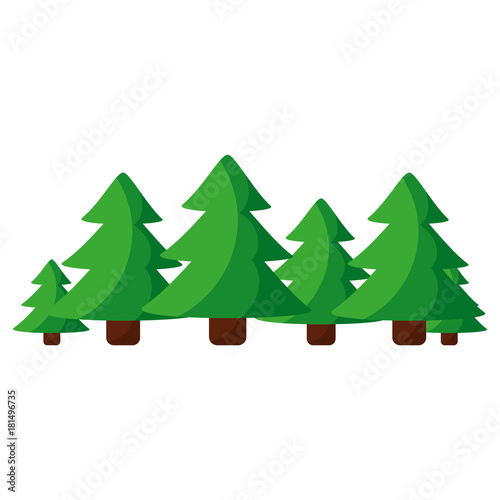 pine tree icon image