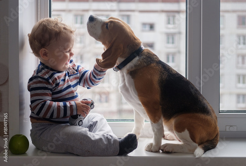 boy and Beagle dog sit together on the window sill