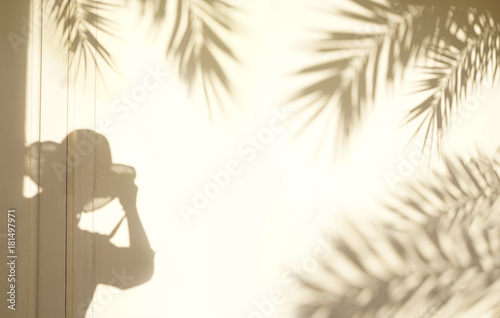 Conception for exotic travel. The shadow of the leaves of a palm tree and a photographer in a hat on a light wall at sunset or sunrise. Template background for text, wallpaper.