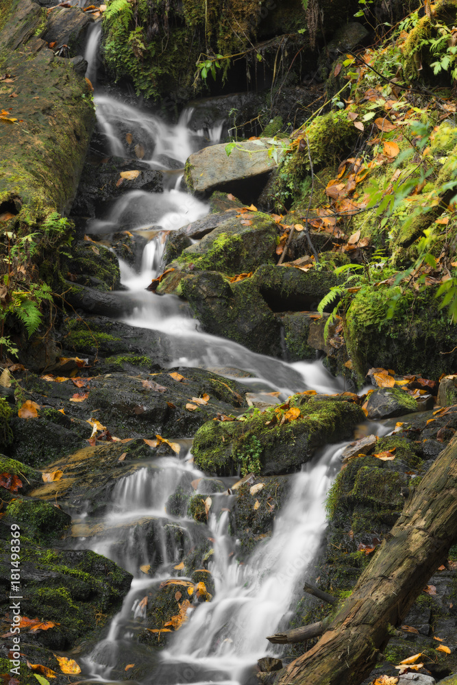 Mingo Falls Waterfall