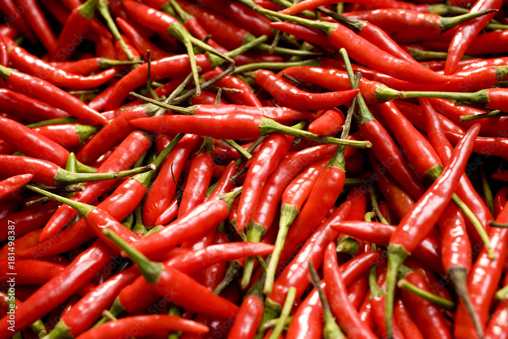  Red Chili Peppers Close-up Background