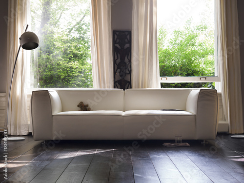 Living room with elegant sofa before a window