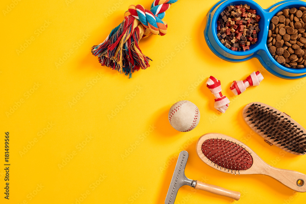 Accessories for the grooming of the dog. Combs and brushes for dogs. Top view Accessories for the grooming of the dog. Combs and brushes for dogs. Top view