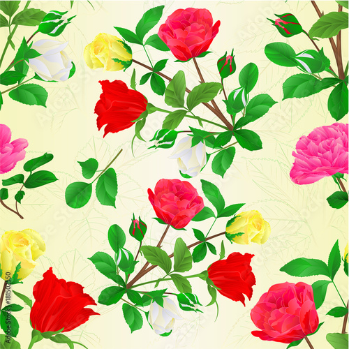 Seamless texture Bouquet of rosebuds red white and yellow roses vintage vector illustration editable hand draw © zdenat5