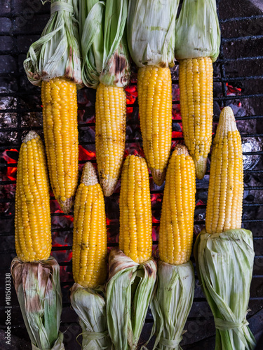 Grilled corn on the cob