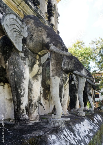 Elephants in temple in Chiang Mai Thailand