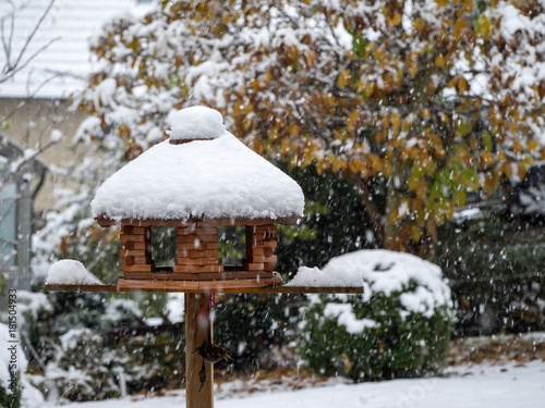 Vogelhaus im Winter bei Schneefall im Garten