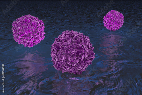 Poliovirus, 3D illustration. The virus transmitted by water and causes poliomyelitis photo