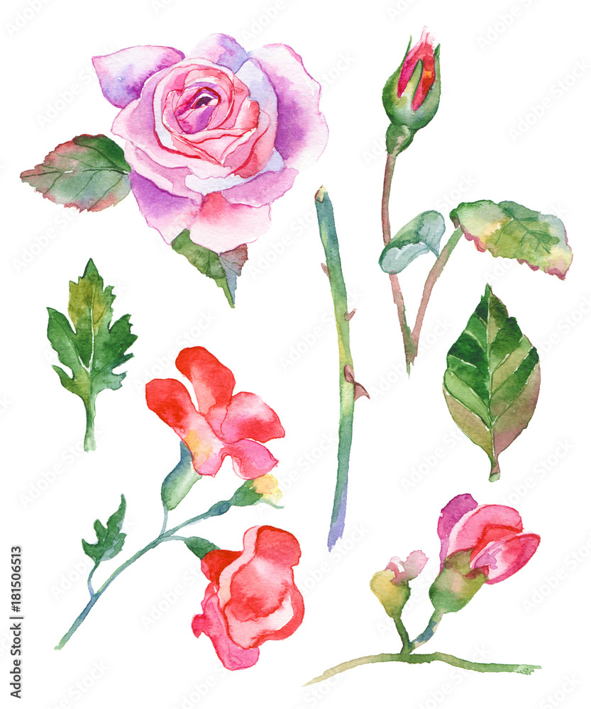 Watercolor flowers illustration Watercolor flowers illustration