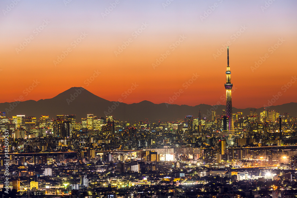 Obraz premium Tokyo Sunset