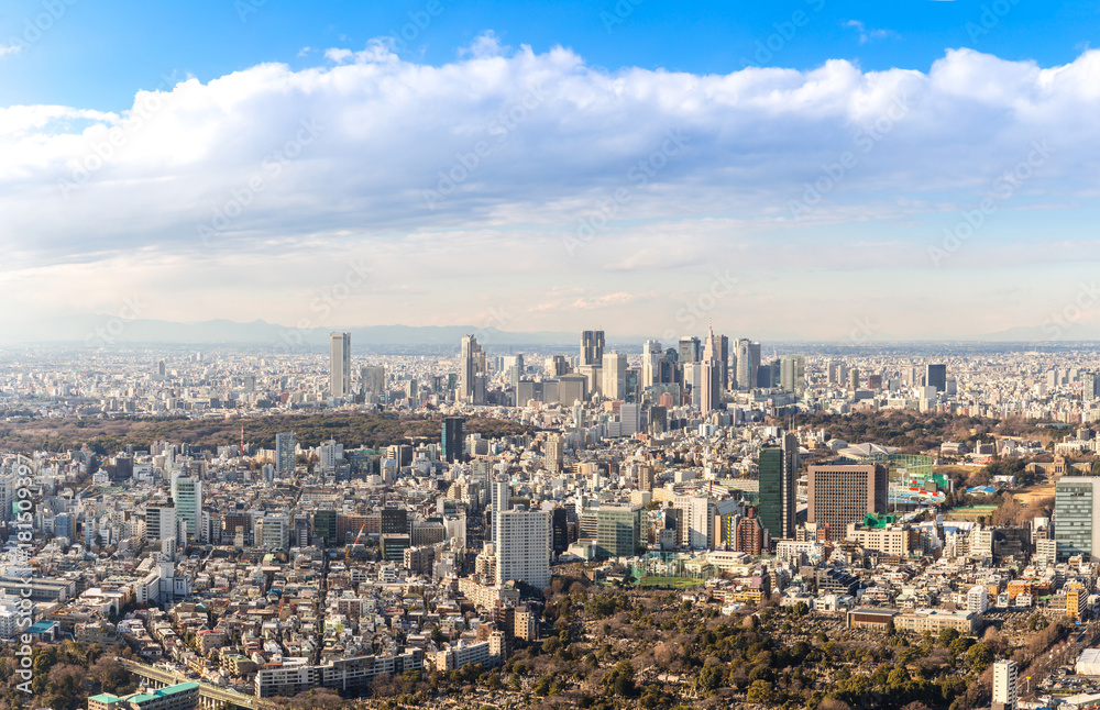 Tokyo Shinjuku skylines