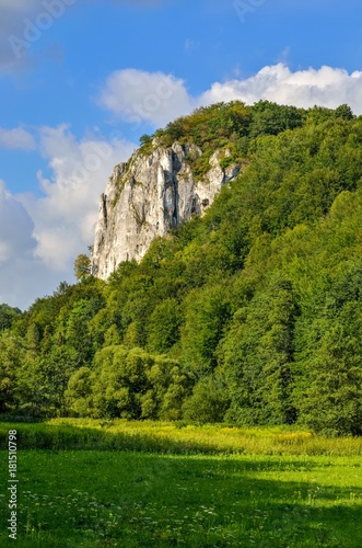 Sunny summer landscape. Beautiful green Jurassic valley in Poland. photo