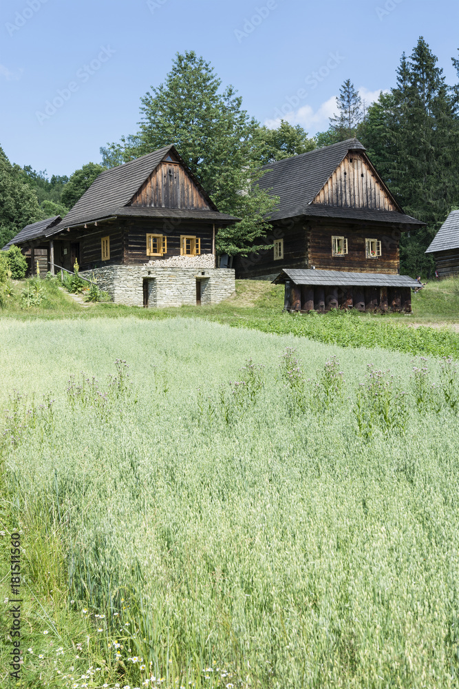 Wooden buildings in a village with oat field. Wooden buildings in a village with oat field.