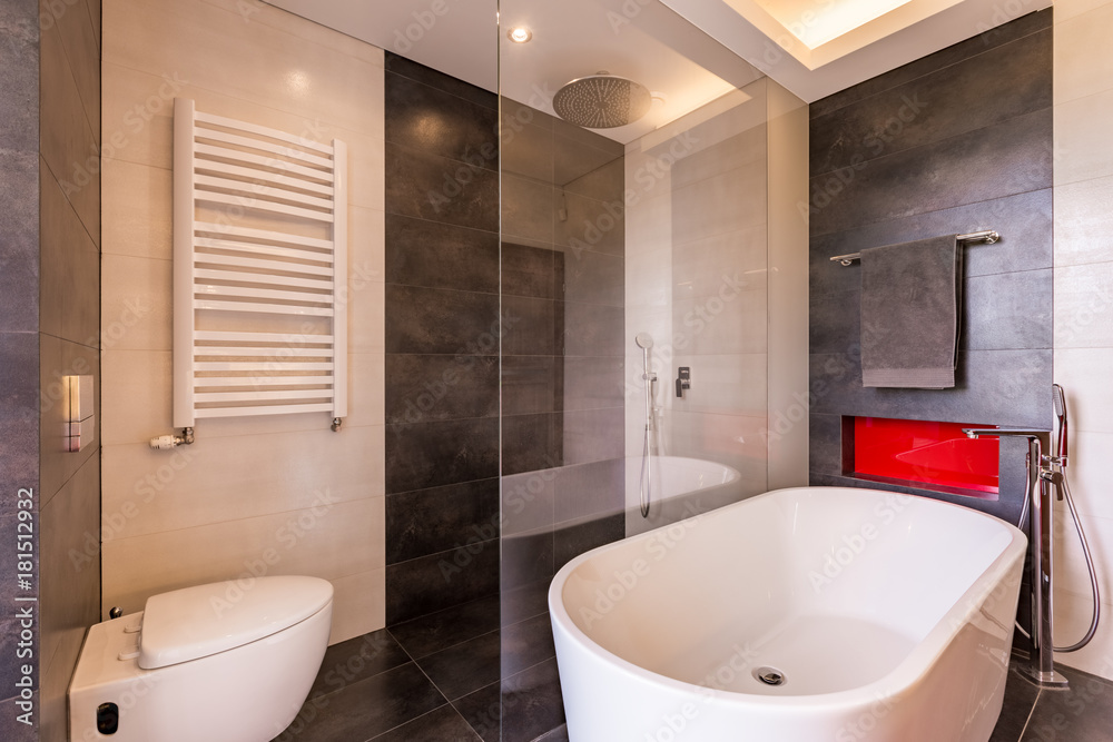 Bathroom with bathtub and shower Bathroom with bathtub and shower