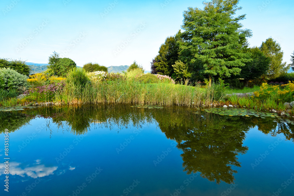 Botanical Garden with a Lake in the Vegetation. Botanical Garden with a Lake in the Vegetation.