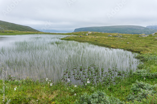 Lake and vegetation of the tundra on the island Soroya, Norway photo