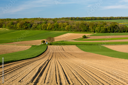 Obraz na płótnie Fields in Austria landscape in spring w salonie