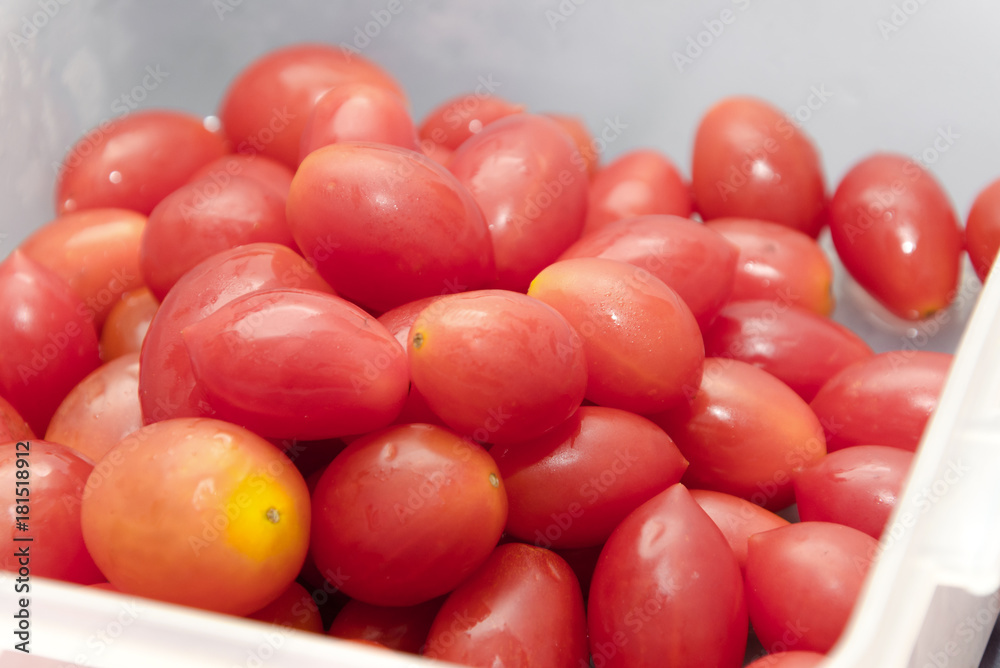 red small ripe cherry tomatoes fruit in plastic box red small ripe cherry tomatoes fruit in plastic box