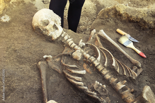 Archaeological excavations and finds (bones of a skeleton in a human burial),  working tool, ruler, knife, brush, a detail of ancient research, prehistory. photo