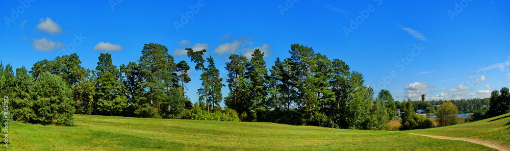 Panoramic landscape with trees and unpaved road Panoramic landscape with trees and unpaved road