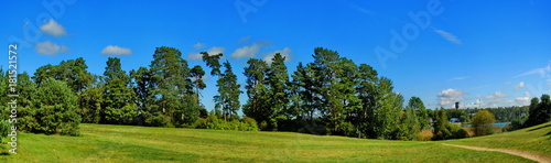 Panoramic landscape with trees and unpaved road 